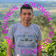 Colombia - Fredi Ortega - Pink Bourbon - filter