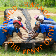 Rwanda - Muzo Janja Hill - Fully Washed - filter