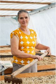 Honduras - Maria Caceres - Washed