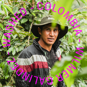 Colombia - Wilmer Galindez - Washed Tabi - espresso